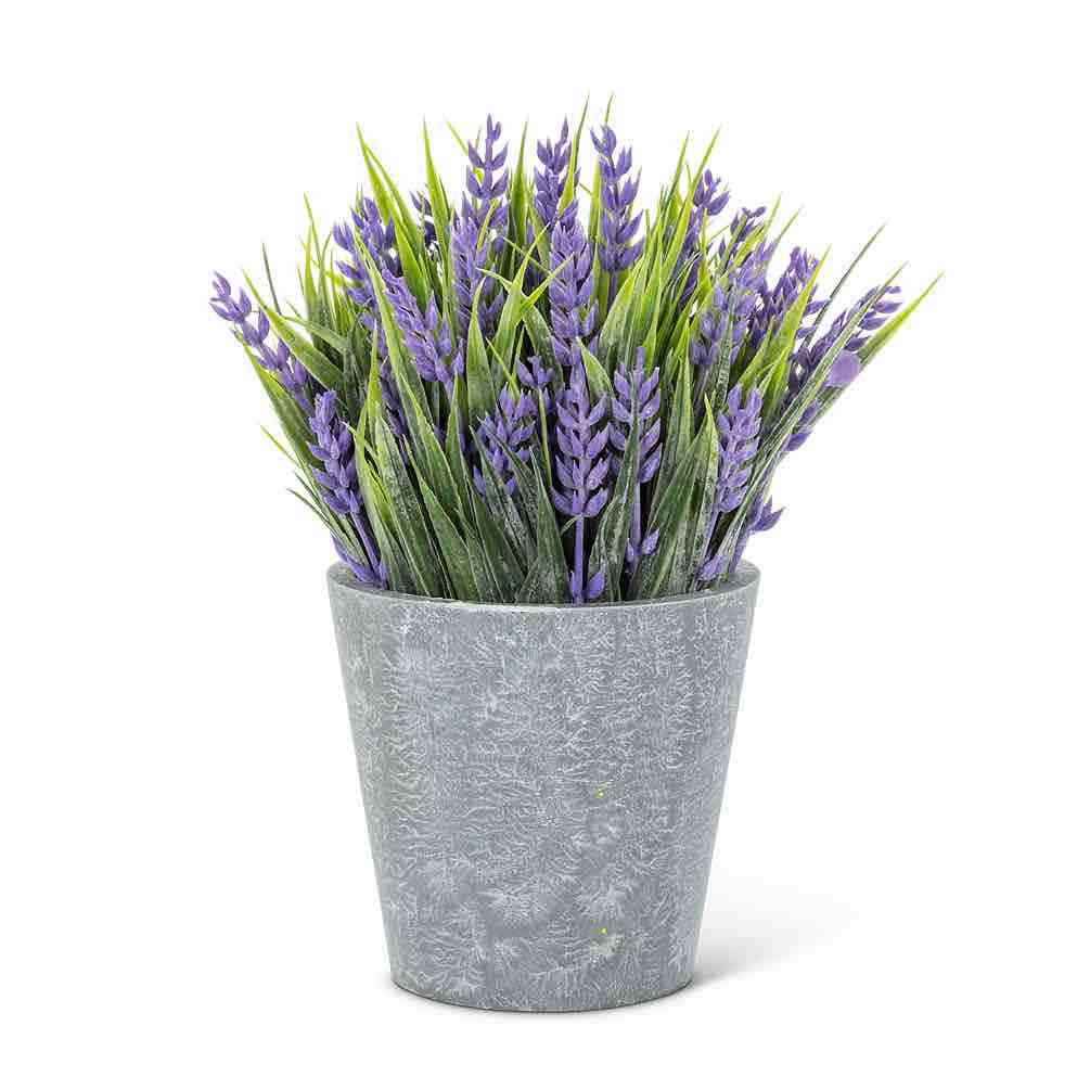 Lavender Plant Pot | Large