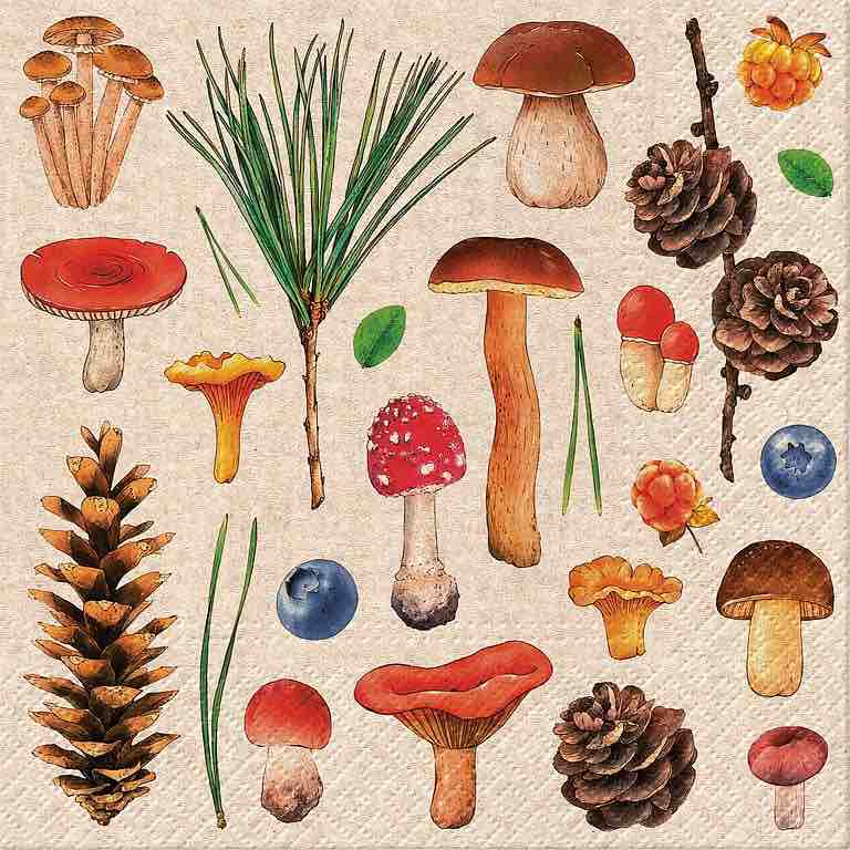Luncheon Napkins | Woodland Whimsy 20pk