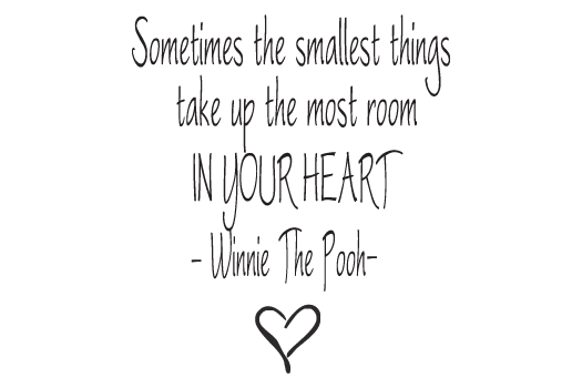 Wall Talk Quotes - Sometimes the smallest things take up the m
