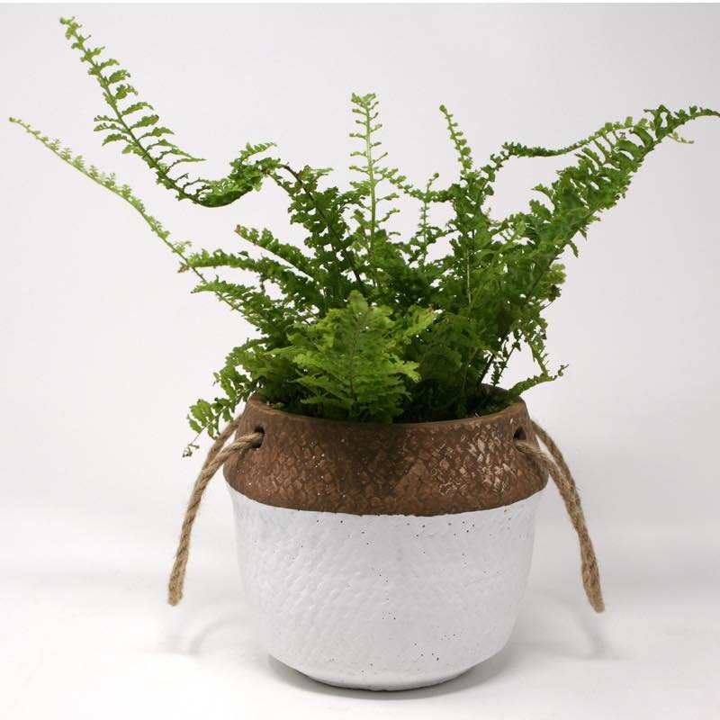 BASKET Two-Toned Planter