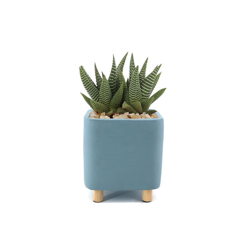 QUATU Square Standing Planter | Light Blue 8.5cm