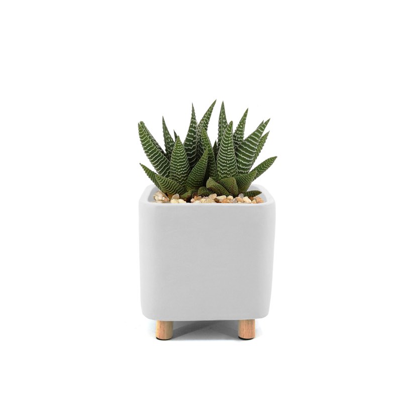 QUATU Square Standing Planter | White 8.5cm