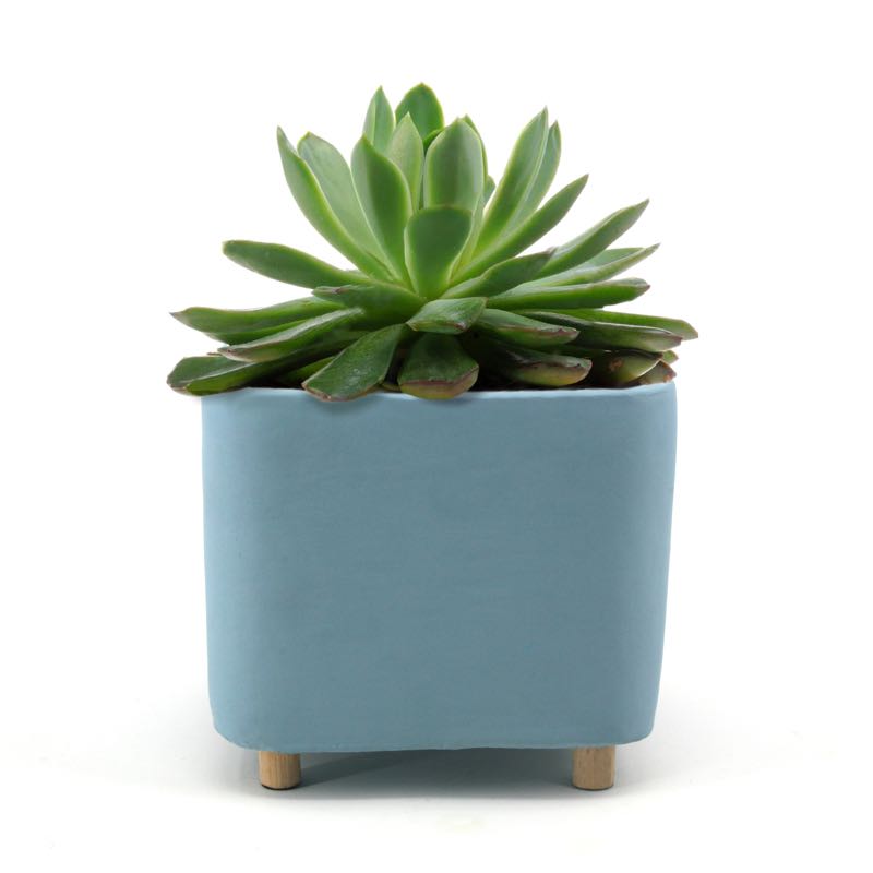 QUATU Square Standing Planter | Light Blue 12.5cm