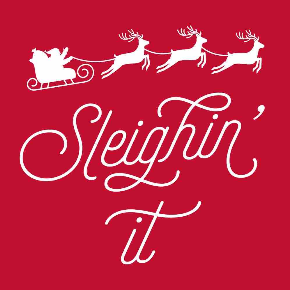 Quip Holiday Cocktail Napkins | Sleighin It 20