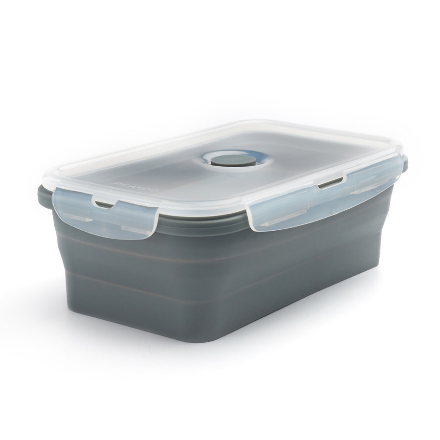 Ricardo Collapsible Silicone Container | Large