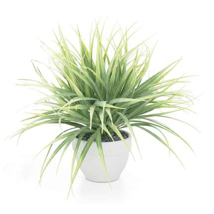 Torre & Tagus Grass Plant - Light Green